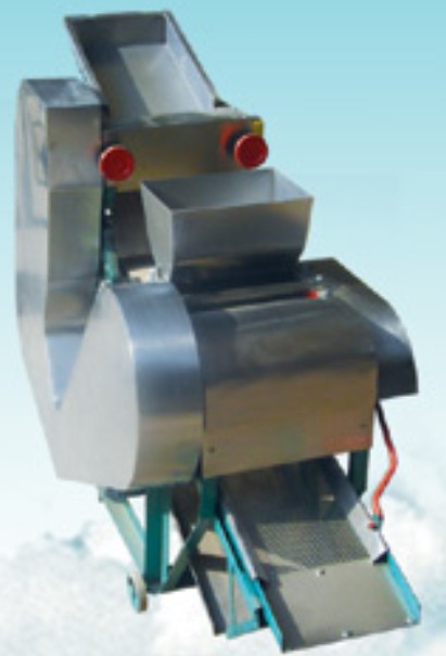 JMT-ZD Polished Glutinous Rice Strips Molding Machine