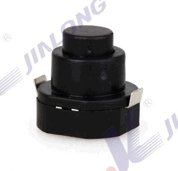 Push Button Switch